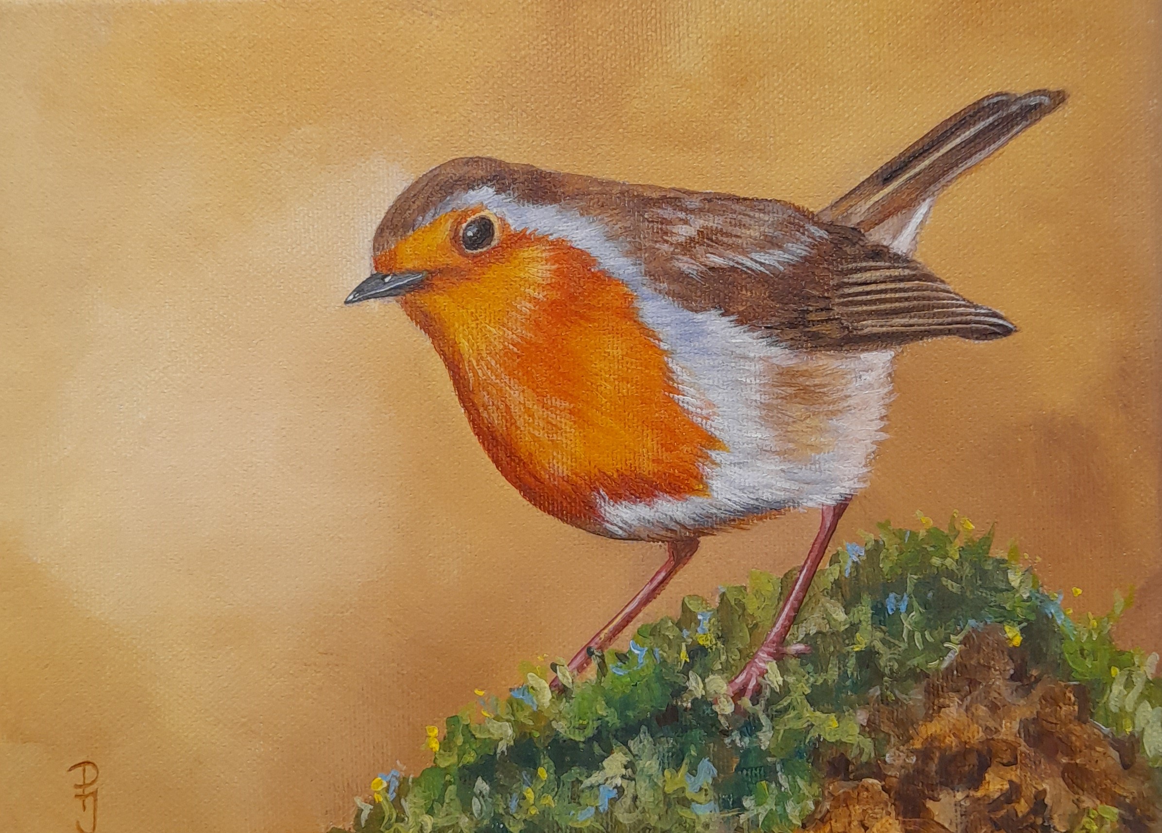 bird robin painting birds painting